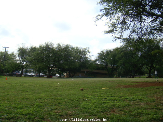a0067962_535649.jpg