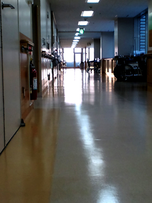c0050264_16394495.jpg