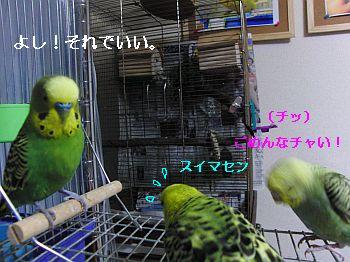 f0196665_01165.jpg