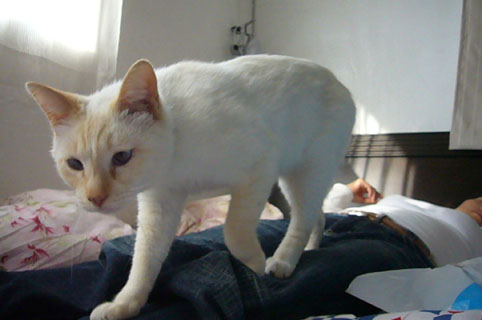 c0153966_2028276.jpg