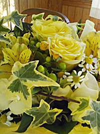 a0050669_23405487.jpg