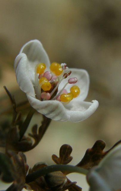 c0042869_211637100.jpg