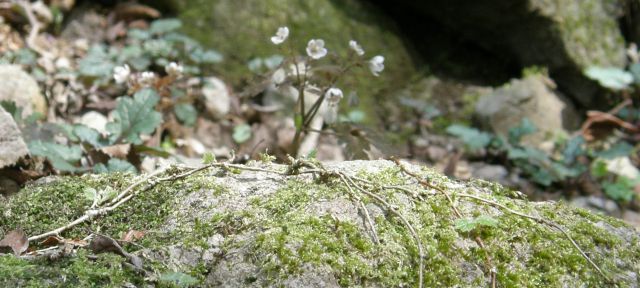 c0042869_2117815.jpg