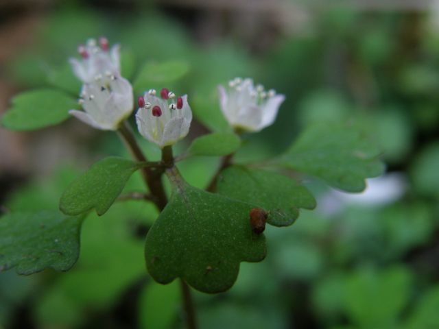 c0042869_21424049.jpg
