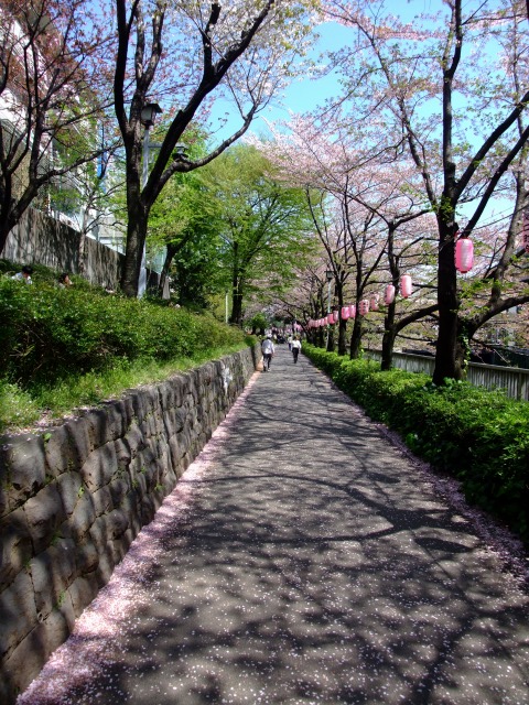 e0078069_23345075.jpg