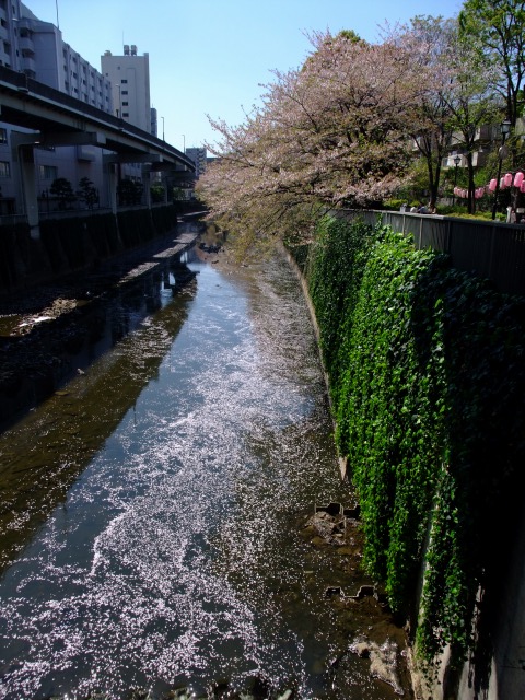 e0078069_23345694.jpg