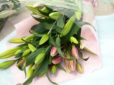 e0097770_23515288.jpg