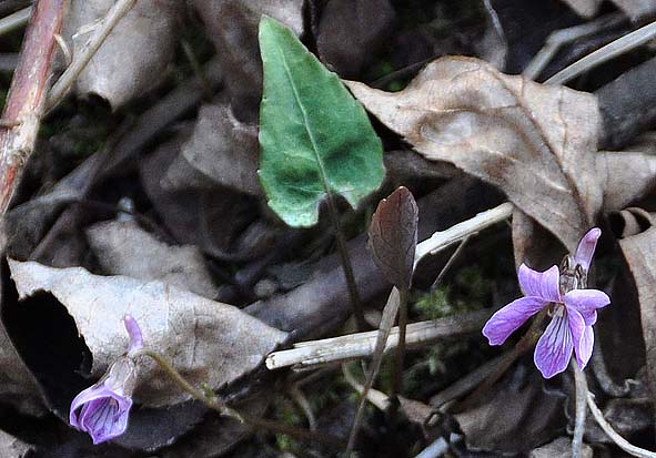 f0198771_1142843.jpg