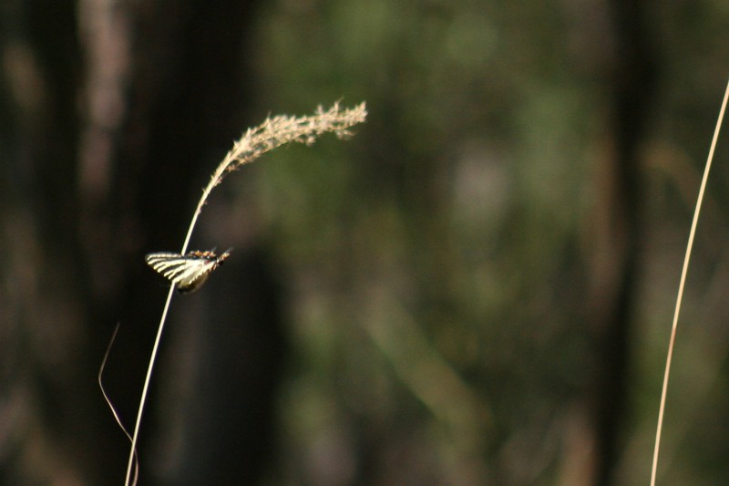 b0088772_21162239.jpg
