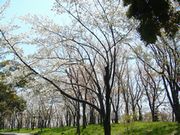 b0102572_23103485.jpg