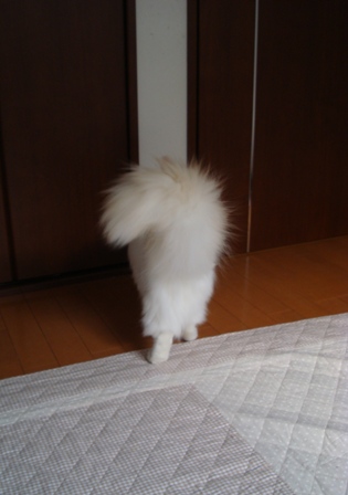 e0025872_12254981.jpg