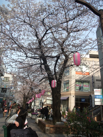 f0070875_23353939.jpg