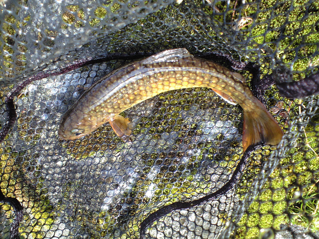 a0093677_2145234.jpg