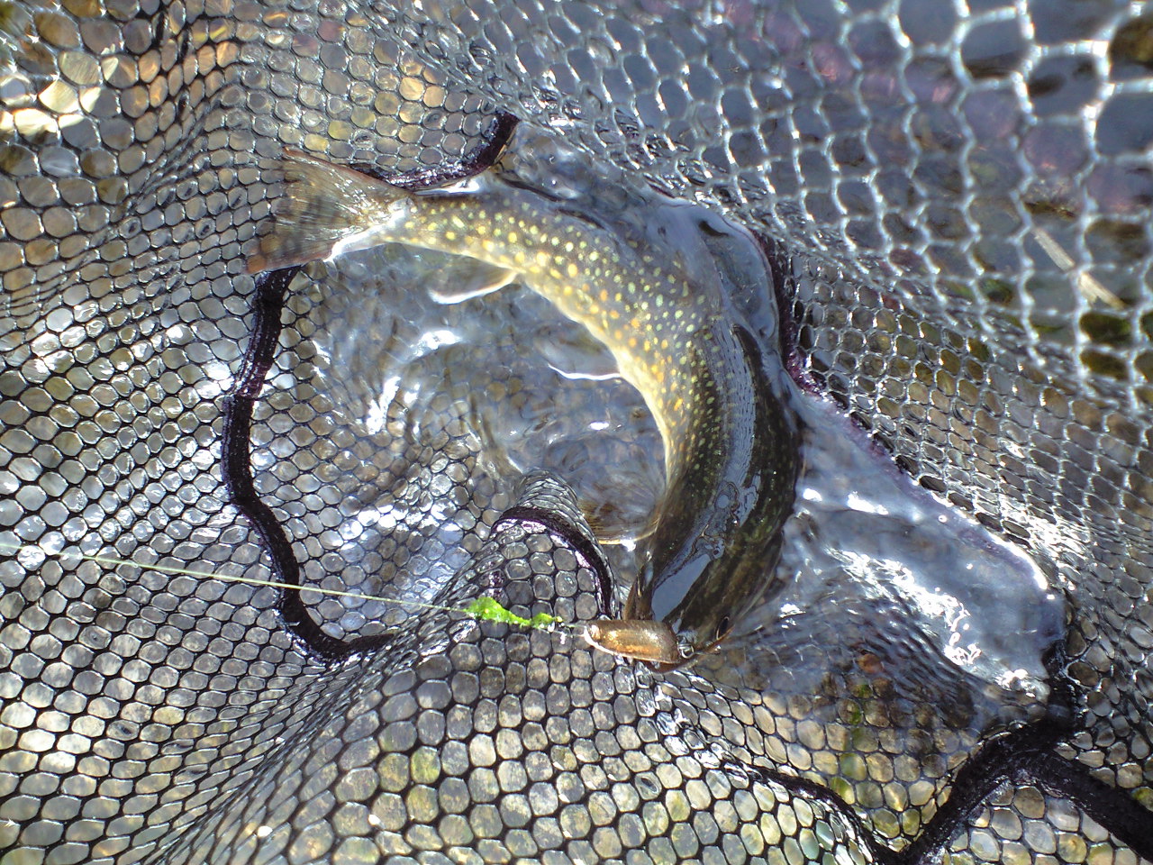 a0093677_21464380.jpg