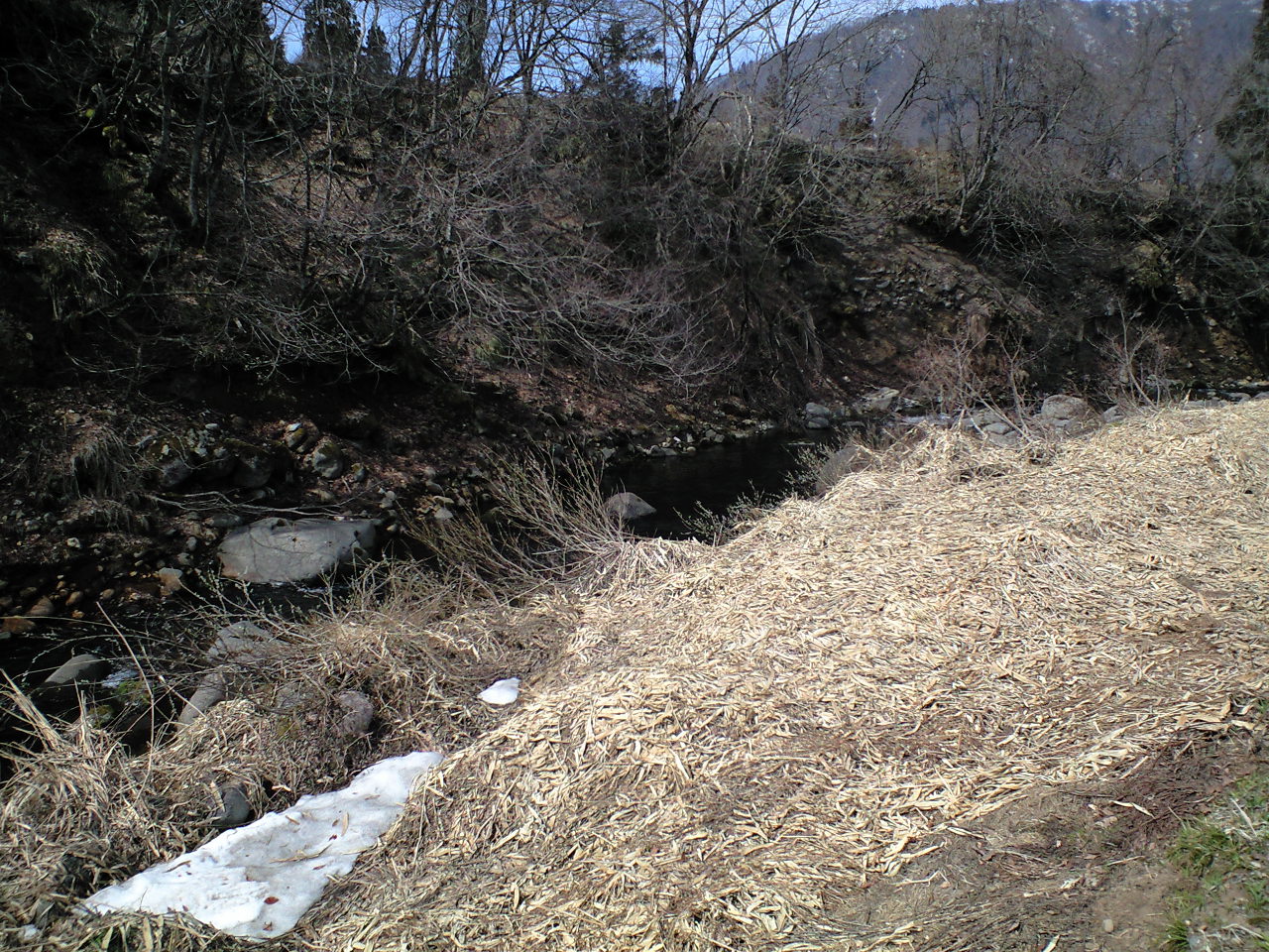 a0093677_21512091.jpg