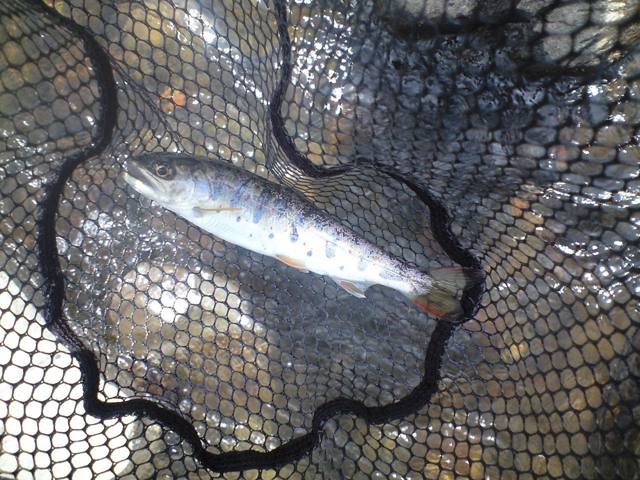 a0093677_2213369.jpg