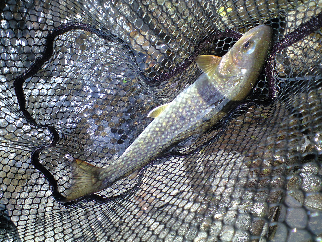 a0093677_226879.jpg