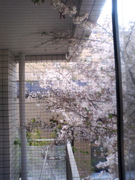 f0054677_8281693.jpg