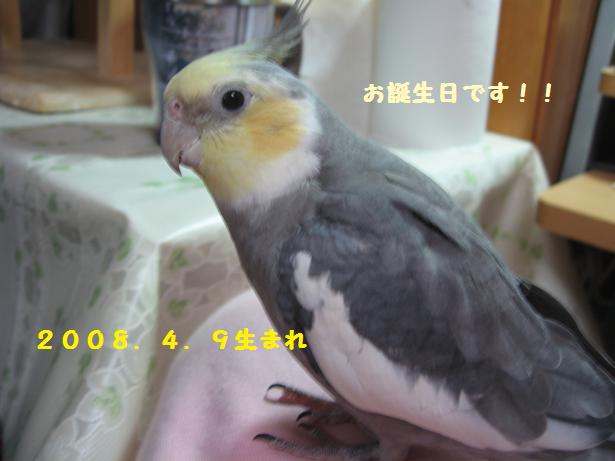 e0027078_6215687.jpg
