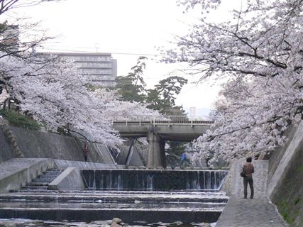 f0001378_21301693.jpg