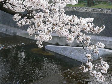 f0001378_21335175.jpg