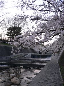 f0001378_21381029.jpg