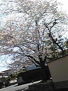 b0094280_2221383.jpg