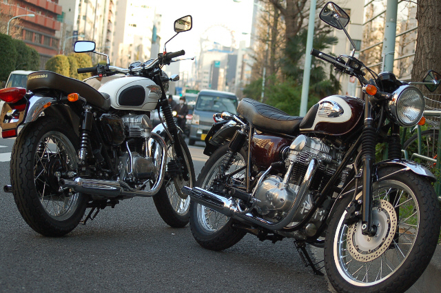 d0099181_1621412.jpg