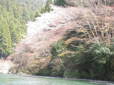 a0038882_1041835.jpg