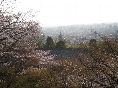 a0038882_10561298.jpg