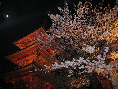 a0038882_11134278.jpg
