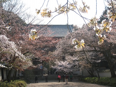 a0038882_13294940.jpg