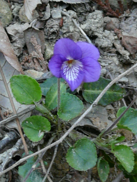 e0145782_20514522.jpg
