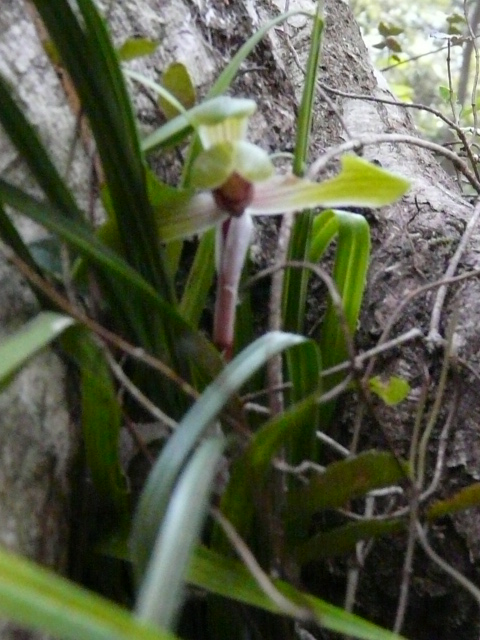 e0145782_20525148.jpg