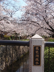 c0105785_1117136.jpg