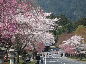 c0063587_1248015.jpg