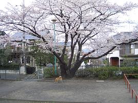 e0023790_20214471.jpg