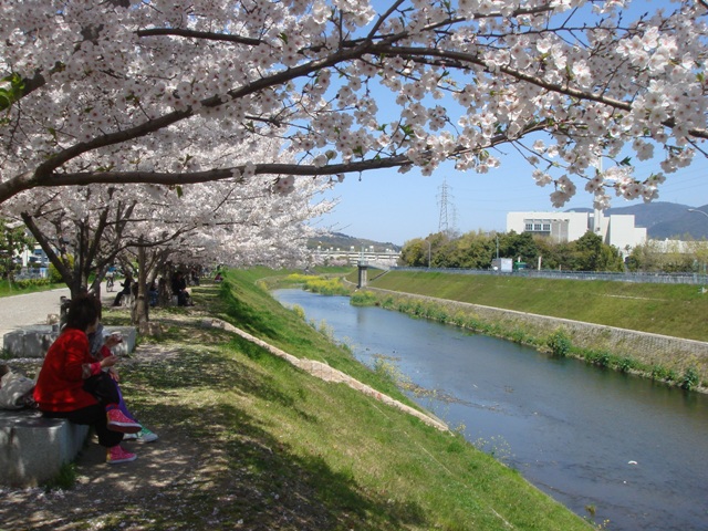 e0111793_230332.jpg