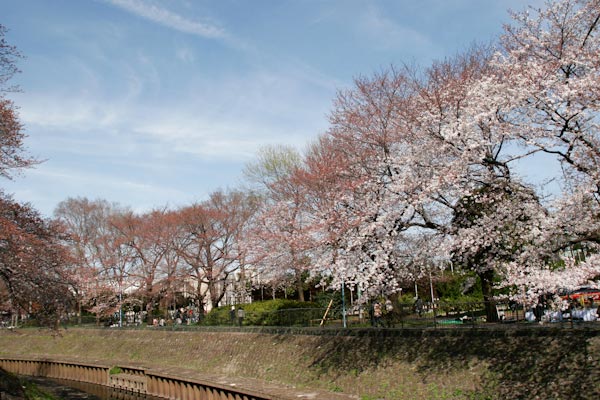 b0128294_17114480.jpg