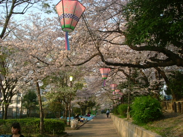 b0044296_122499.jpg