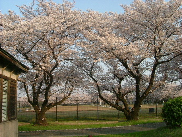 b0044296_1273398.jpg