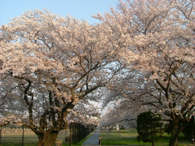 b0044296_1282743.jpg