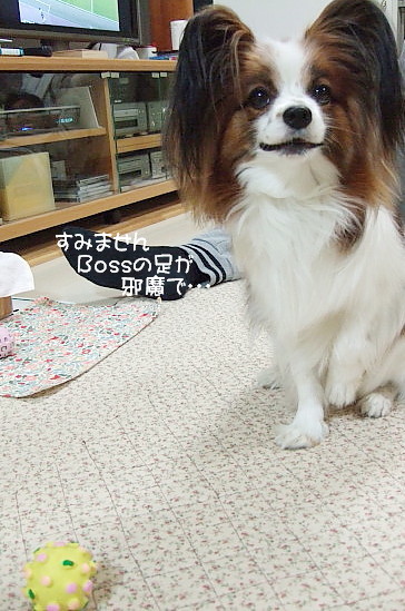c0044199_2217979.jpg