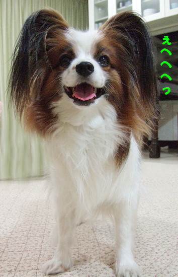 c0044199_2221214.jpg