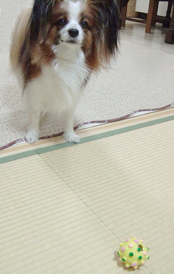 c0044199_2273756.jpg