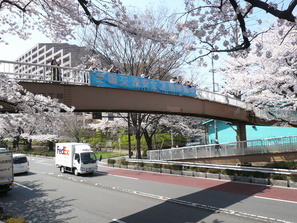 d0077699_1214271.jpg