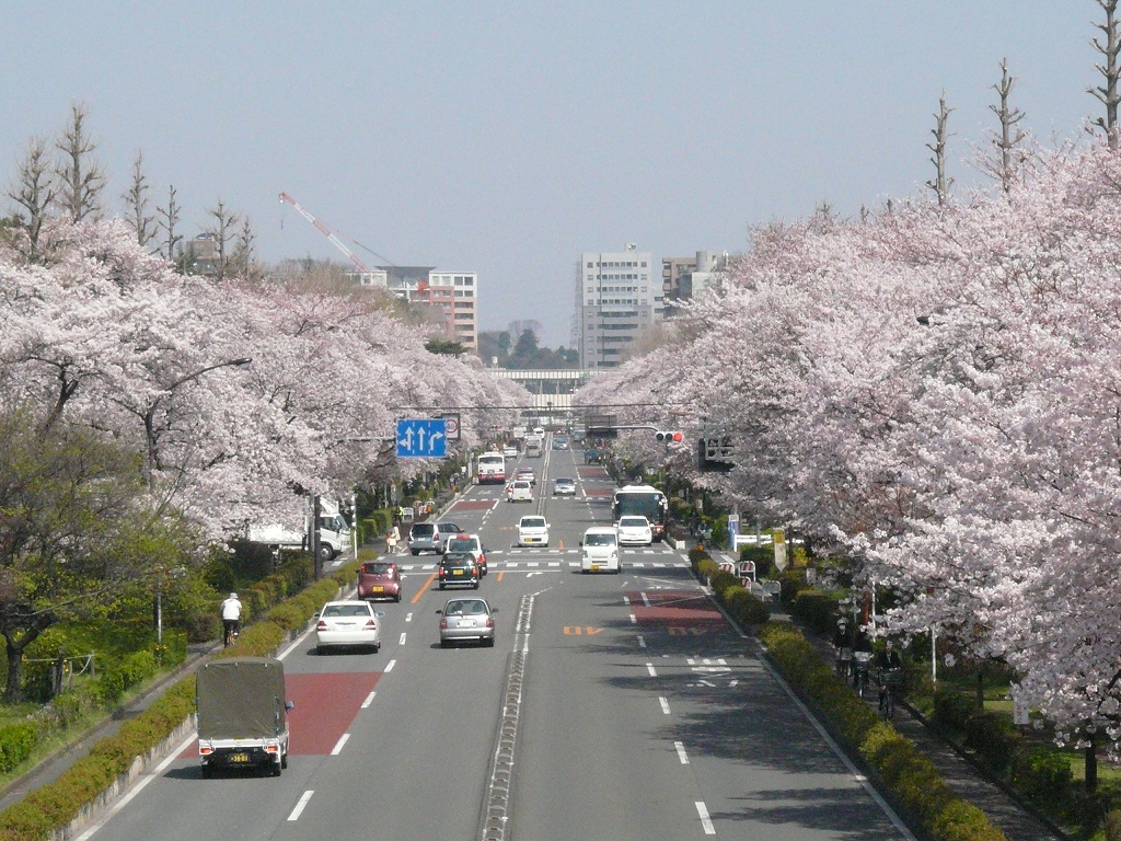 d0077699_125128.jpg