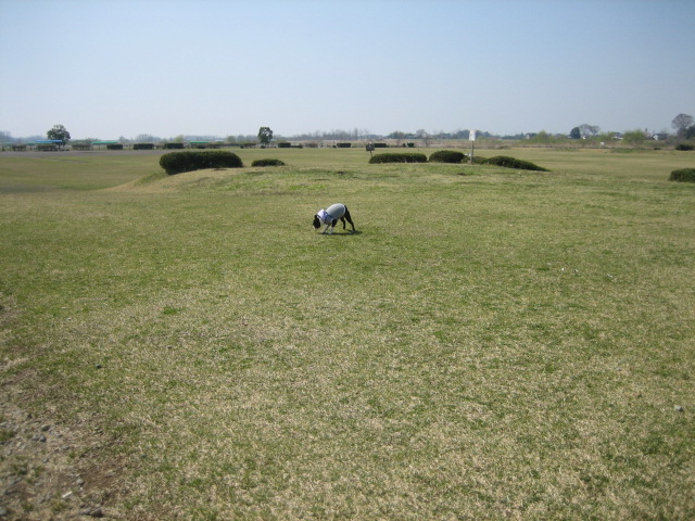 b0136300_13185081.jpg