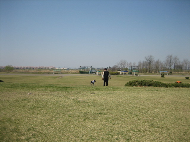 b0136300_13214748.jpg