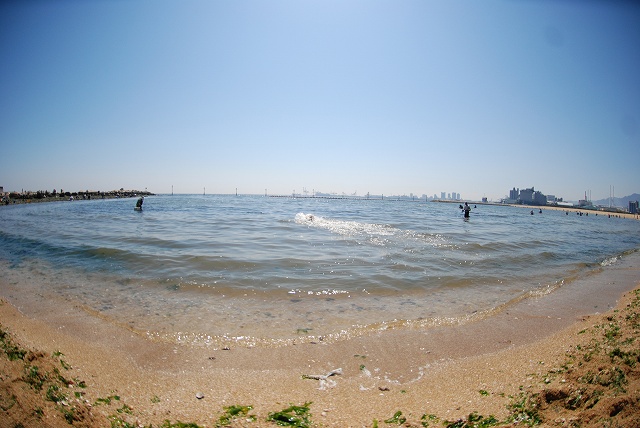 d0091700_19244362.jpg